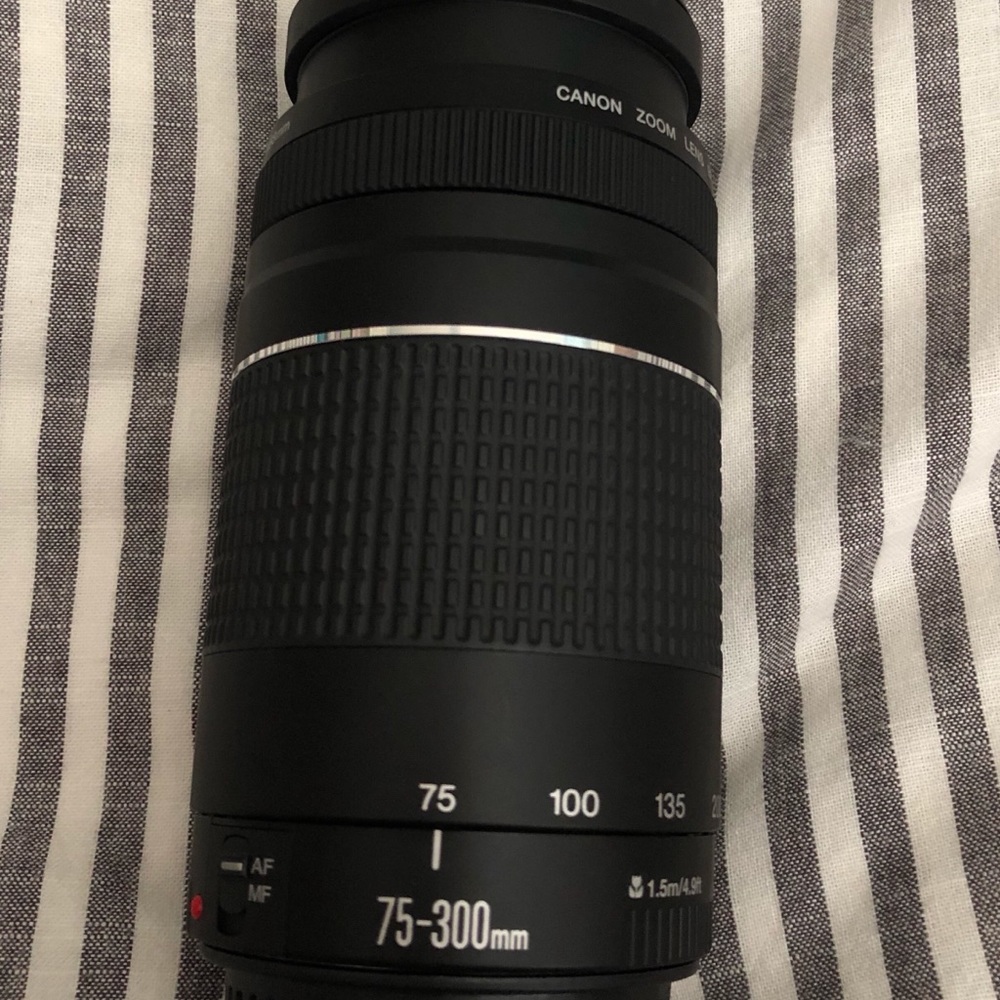 Canon 75-300mm lens.